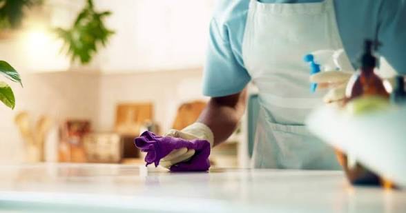 Domestic Workers Placement